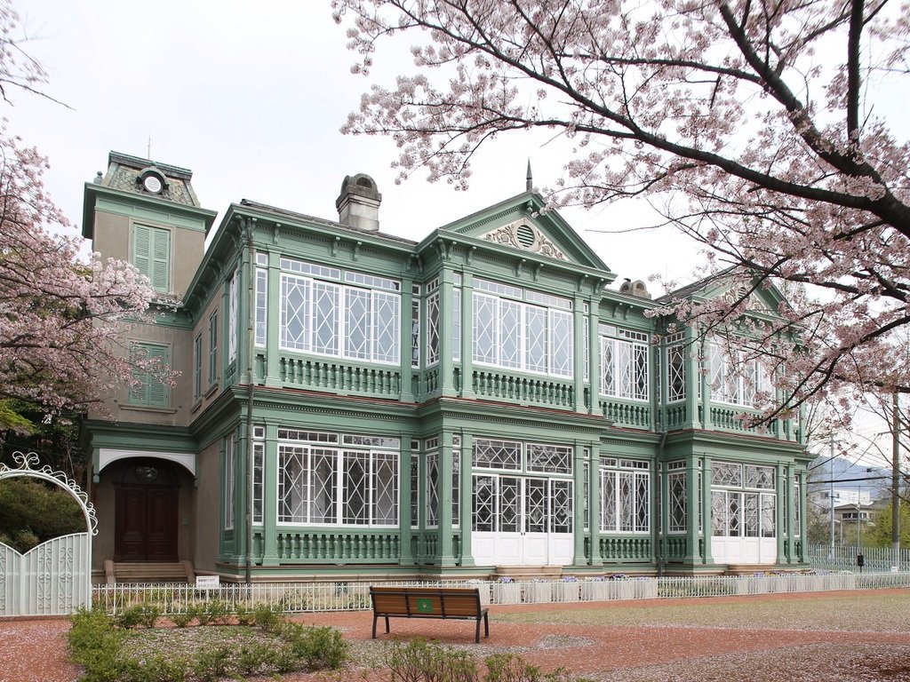 🐼 고베 시립 오지 동물원(고베 시리츠 오지 도부츠엔) 이미지 5